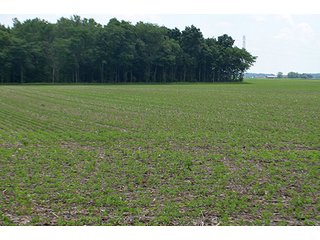 Property photo 33 - LAND AUCTION - 700+/- ACRES OFFERED IN 16 TRACTS IN ALLEN COUNTY, INDIANA
